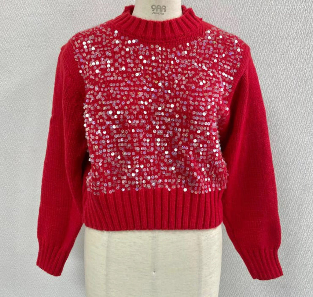 Design Sense Heavy Embroidery Sequins Pullover