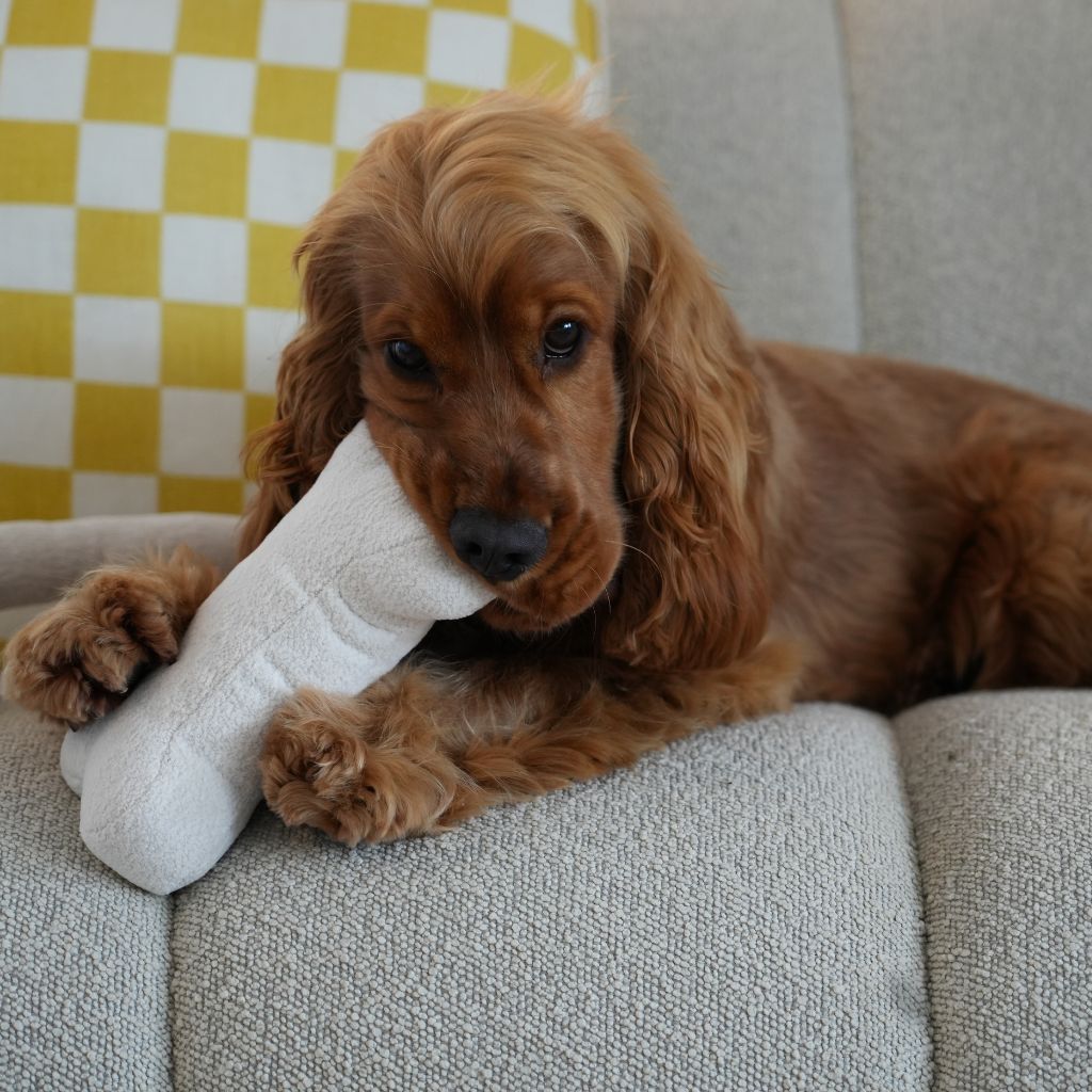 bone toys-1