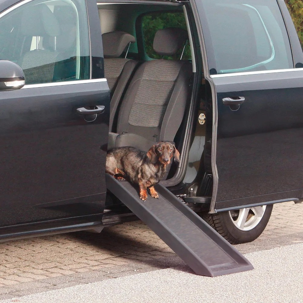 Pet Ramp